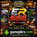 ER666 Game