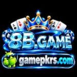 8B Game
