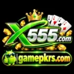 X555 Game