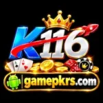 K116 Game
